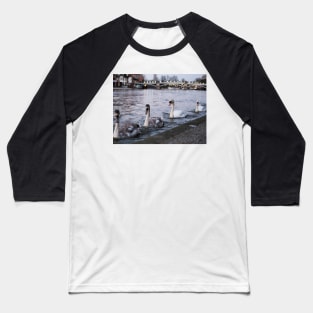 Herd of swans at banks of river thames in Windsor, Berkshire, UK Baseball T-Shirt